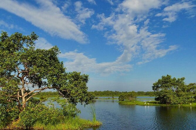 Kalametiya Bird Sanctuary Catamaran Bird Watching Tour - Pickup from Galle and the ride to the lagoon