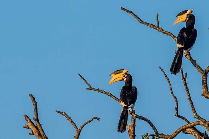 Kalametiya Bird Sanctuary Catamaran Bird Watching Tour - Is the $55 price good value?