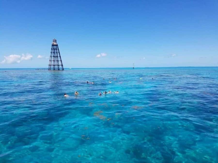 Key West: Catamaran Snorkel with Seafood Boil and Open Bar - Key points at a glance