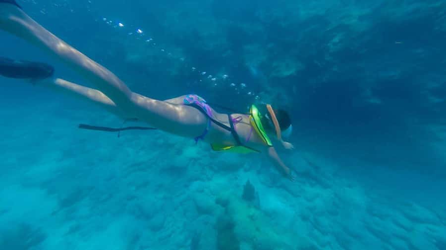 Key West: Catamaran Snorkel with Seafood Boil and Open Bar - A four-hour Key West outing with two distinct halves