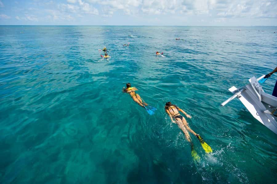 Key West: Catamaran Snorkel with Seafood Boil and Open Bar - First stop: snorkeling near Sand Key