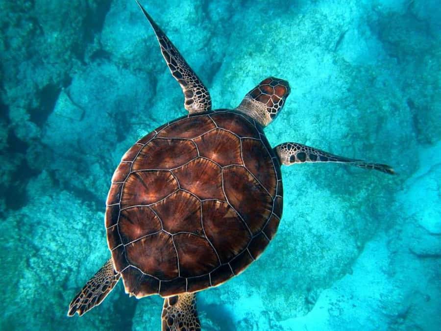 Key West: Catamaran Snorkel with Seafood Boil and Open Bar - Weather can change the entire plan