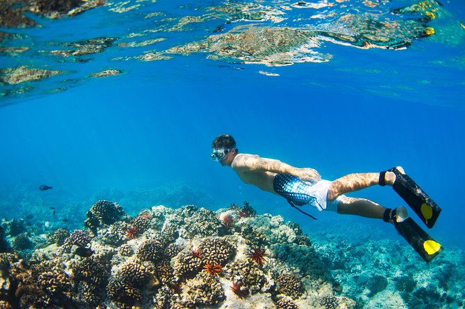Kings Warf Catamaran Cruise, Snorkel & Refreshments - Key points to know before booking