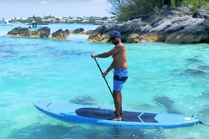 Kings Warf Catamaran Cruise, Snorkel & Refreshments - Who will enjoy this Bermuda cruise?