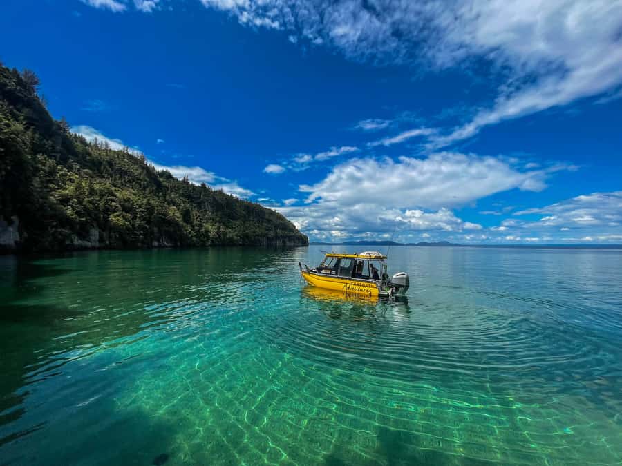 Kinloch: Lake Taupo Catamaran Cruise with Paddleboarding - Why the Western Bays make this cruise different