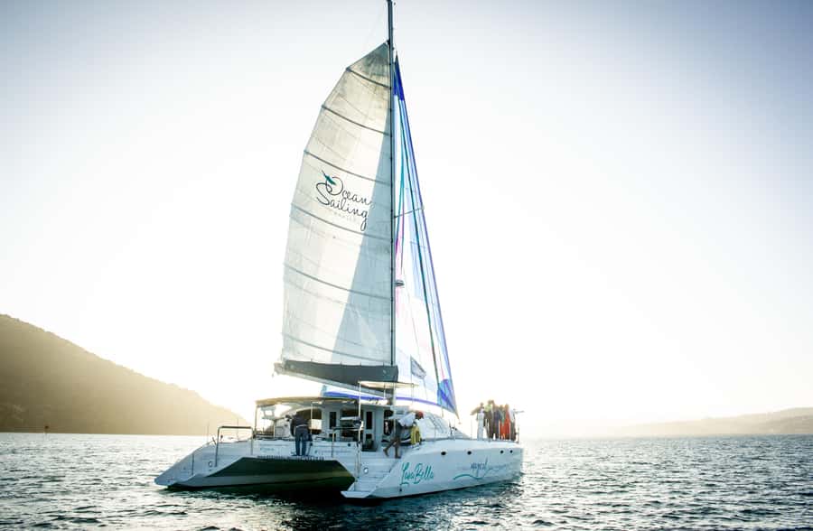 Knysna: Luxury Catamaran Marine Adventure Tour - What the luxury catamaran adds