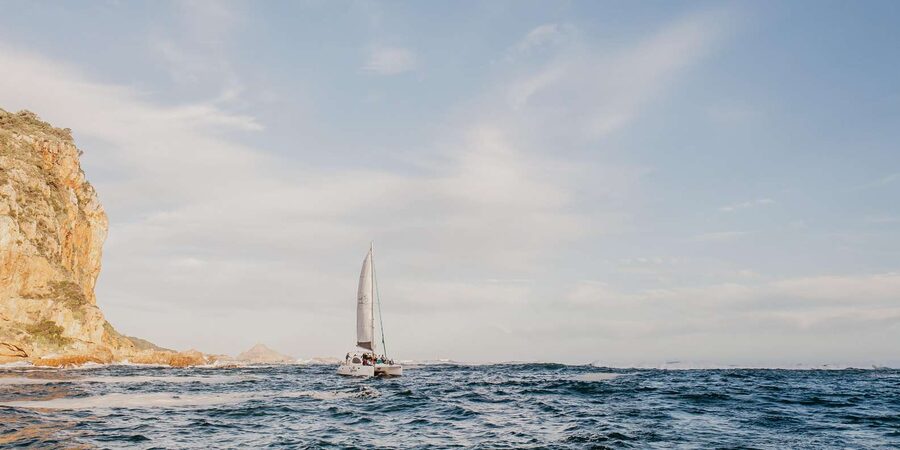Knysna: Luxury Catamaran Marine Adventure Tour - Price and what your $84 covers