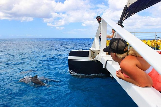 Ko Olina Catamaran Sail and Snorkel with Lunch - Starting at Ko Olina Marina