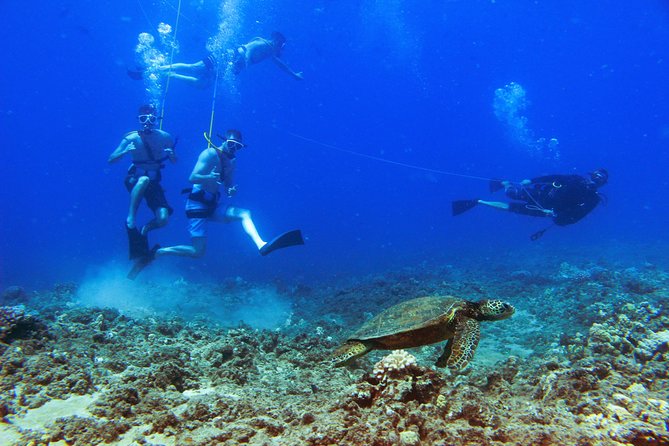 Ko Olina Catamaran Sail and Snorkel with Lunch - The value of $195 per person