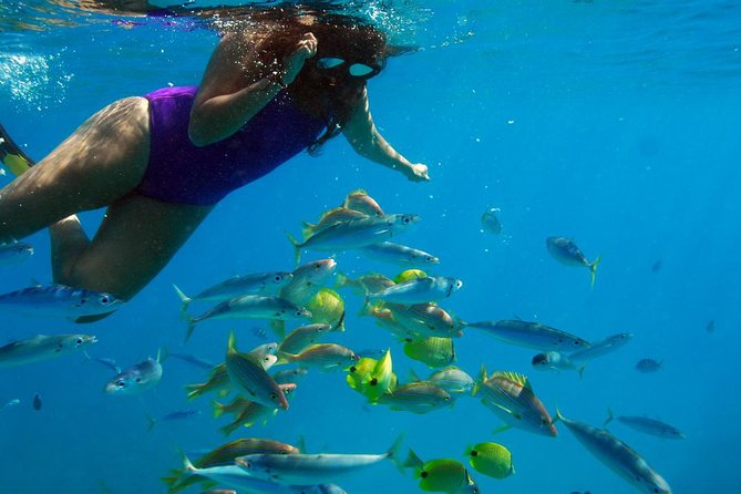 Ko Olina Catamaran Sail and Snorkel with Lunch - Who should book this experience