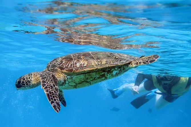 Ko Olina Catamaran Sail and Snorkel with Lunch - Timing, transport, and practical planning