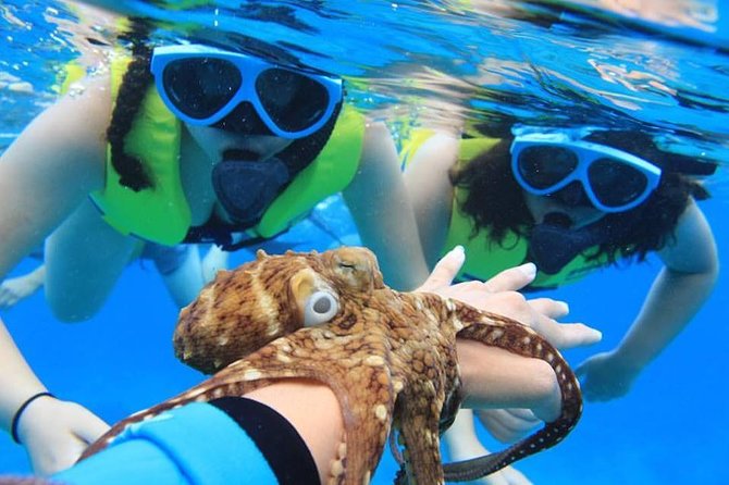 Ko Olina Catamaran Sail and Snorkel with Lunch - Sailing aboard the 53-foot catamaran