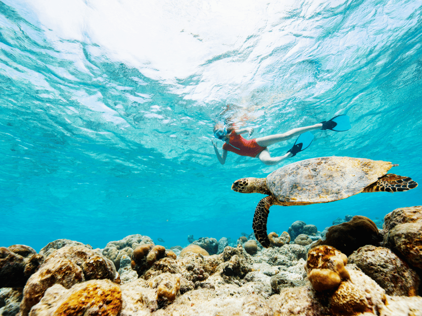 Koh Samui: Koh Tao and Nangyuan Snorkeling Tour by Catamaran - Should you book this Koh Tao and Nangyuan tour?