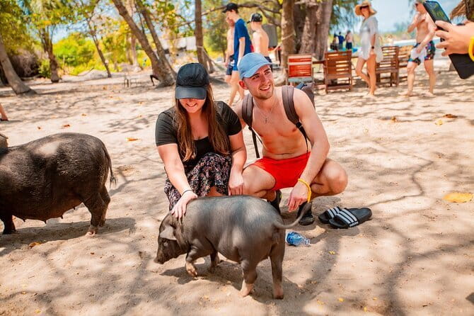 Koh Tan and Pig Island Half-Day Tour by Speed Catamaran - Key points before you book