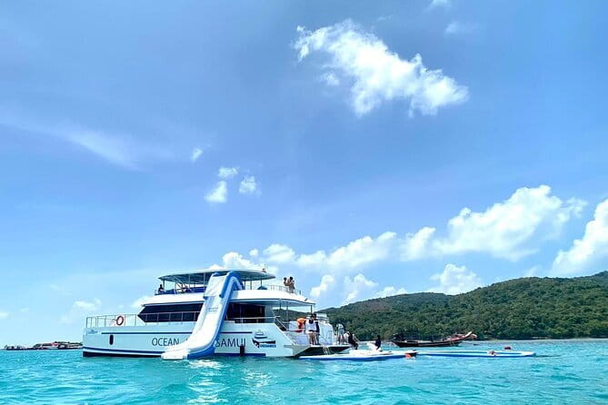 Koh Tan and Pig Island Half-Day Tour by Speed Catamaran - Pig Island gives the morning its character