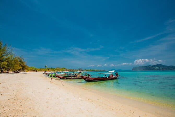 Koh Tan and Pig Island Half-Day Tour by Speed Catamaran - Morning or sunset: choose the right four hours