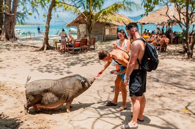 Koh Tan and Pig Island Half-Day Tour by Speed Catamaran - Koh Tan adds water time and variety
