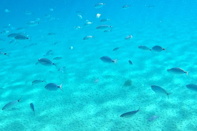 Kos: Catamaran Small Group Full-Day trip with Meal, Drinks, Swim - Packing advice for a smoother day
