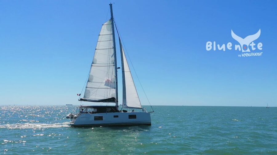 La Flotte, Ile de Ré: Sailing Catamaran Cruise - Two hours of sailing, shaped by wind and tide