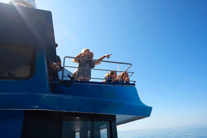 Lagos: Dolphins & Benagil Caves – Catamaran - Three and a half hours on the Atlantic