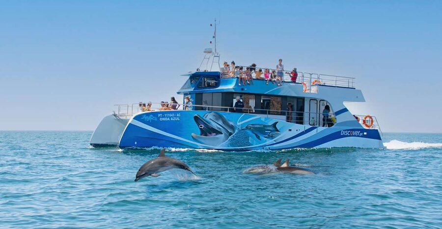 Lagos: Dolphins & Caves - Catamaran - Key points at a glance