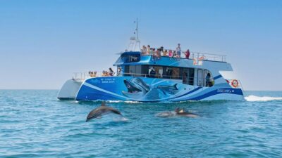 Dolphins & Caves – Catamaran
