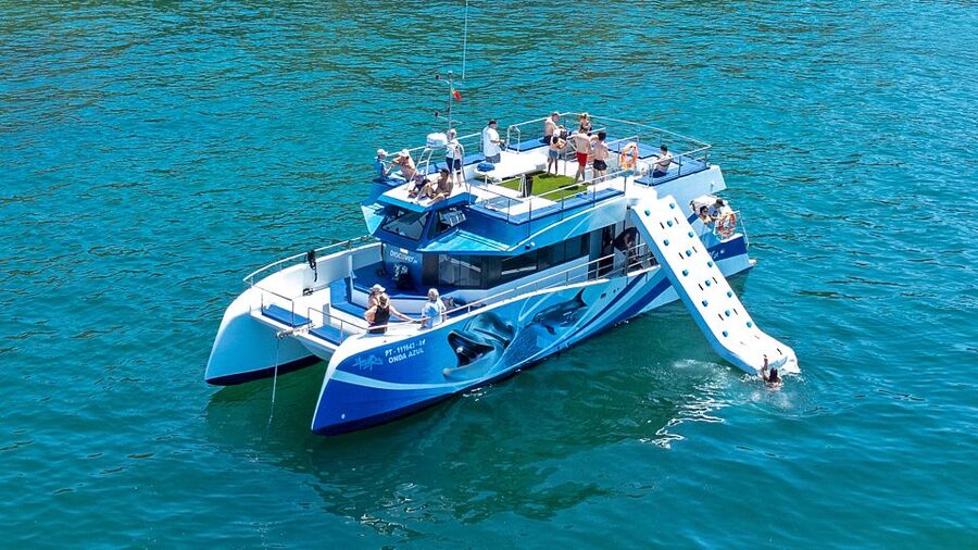 Lagos: Dolphins & Caves - Catamaran - Booking, weather, and cancellation details