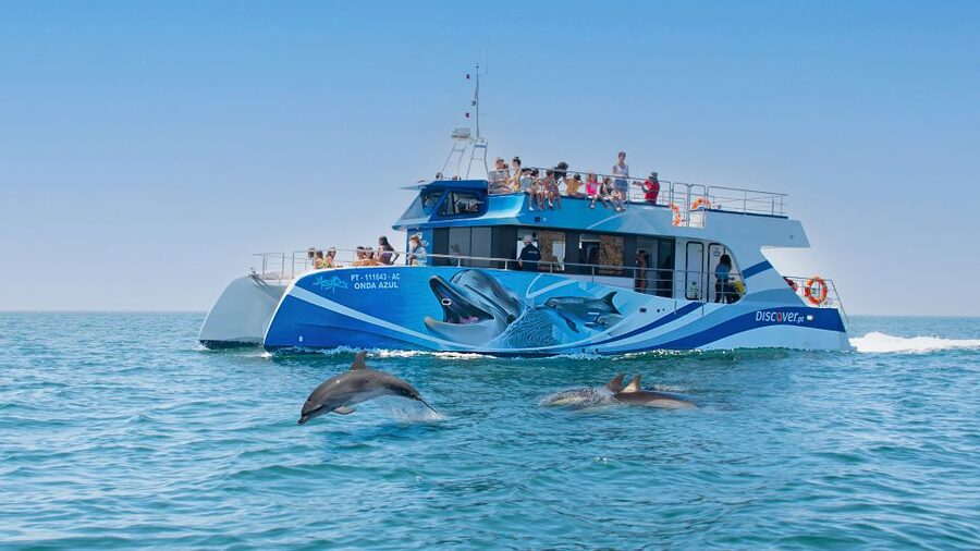 Lagos: Dolphins & Caves - Catamaran - The search for dolphins in open water