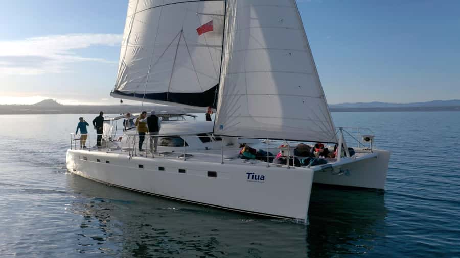 Lake Taupo: Luxury Sailing Catamaran to Māori Rock Carvings - Crossing Lake Taupō with the mountains ahead