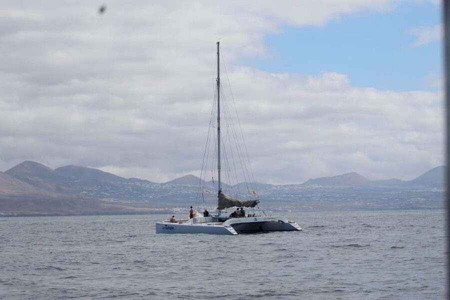 Lanzarote: Whale and Dolphin Watching Eco-Friendly Catamaran - Why the electric boat changes the experience