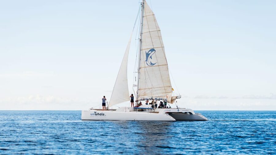 Lanzarote: Whale and Dolphin Watching Eco-Friendly Catamaran - Listening below the surface with the hydrophone