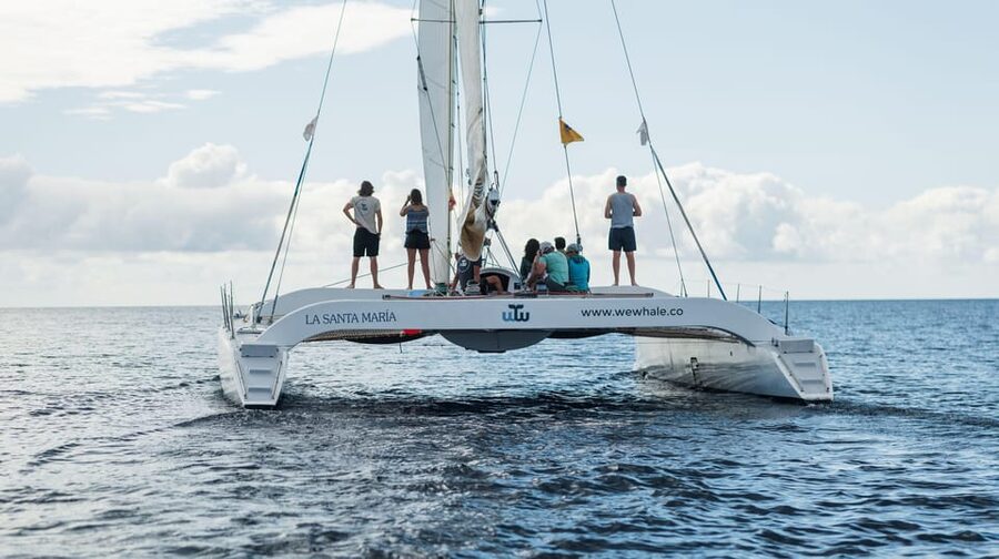 Lanzarote: Whale and Dolphin Watching Eco-Friendly Catamaran - What the crew adds to four hours at sea