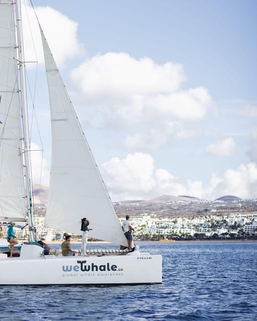 Lanzarote: Whale and Dolphin Watching Eco-Friendly Catamaran - Coast views, snacks, and the comfort factor