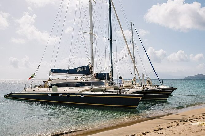 Leisure Full Day Catamaran (Blue, Aqua or LIC) - Who will enjoy this catamaran most?