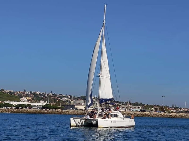 Lisbon: Catamaran Cruise with Drinks & Pastel de Nata - MAAT and Lisbon’s modern riverfront