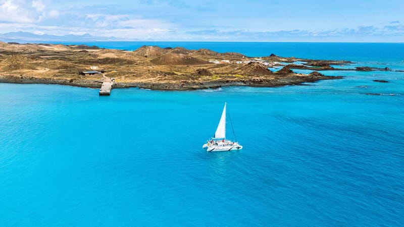 Lobos Island: 4-Hour Catamaran Trip with Lunch - Key points at a glance