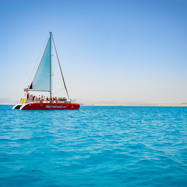 Lobos Island: 4-Hour Catamaran Trip with Lunch - Swimming, snorkeling, and paddleboarding from the catamaran