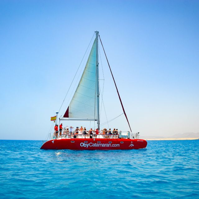 Lobos Island: 4-Hour Catamaran Trip with Lunch - What Lobos Island is really like
