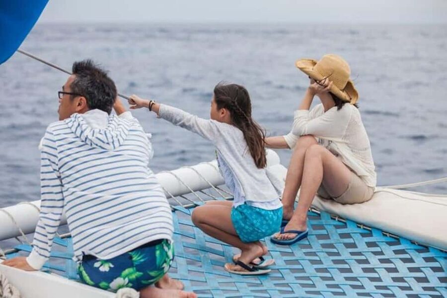 Los Cabos: Catamaran Whale Watching Cruise - The Arch and Cabo’s Coastal Views