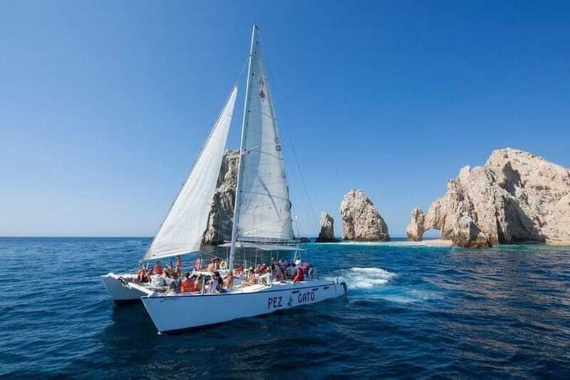 Los Cabos: Catamaran Whale Watching Cruise - Is $95 a Fair Price?