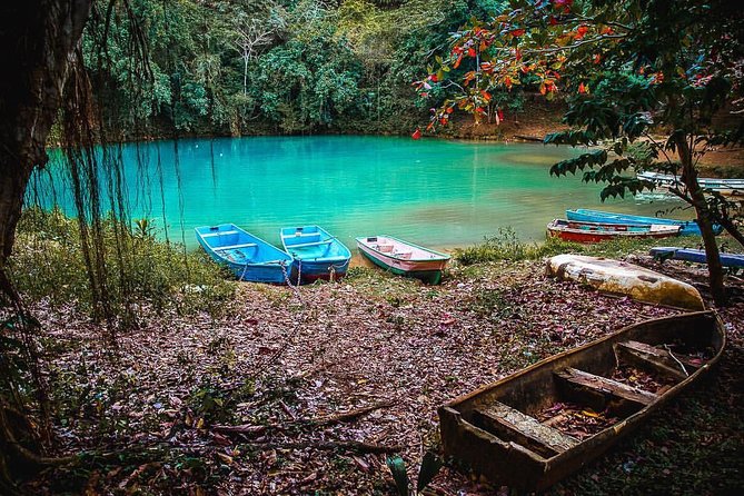 Los Haitises & Cayo Levantado (Lunch included, from Samana in Catamaran or Boat) - Why the boat route makes sense from Samana