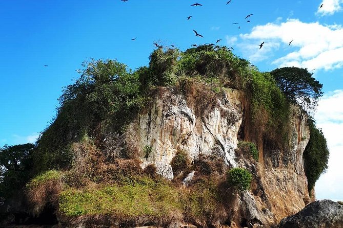 Los Haitises & Cayo Levantado (Lunch included, from Samana in Catamaran or Boat) - Mangroves, rock islands, and the natural setting