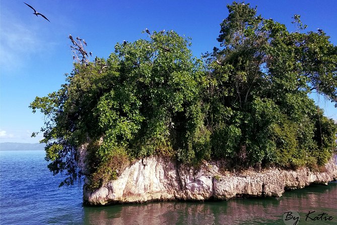 Los Haitises & Cayo Levantado (Lunch included, from Samana in Catamaran or Boat) - Cueva de la Arena and the cave toast
