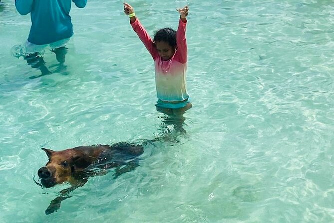 Luxury Catamaran Cruise: Sip, Sail, Snorkel, and Swim with Pigs! - What this six-hour Bahamas cruise is really like