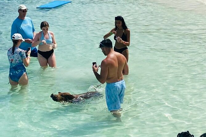 Luxury Catamaran Cruise: Sip, Sail, Snorkel, and Swim with Pigs! - Sandy Cay and the Gilligan’s Island photo stop