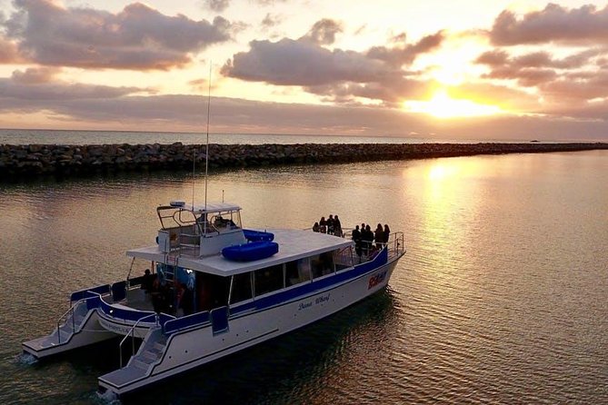 Luxury Catamaran Sunset and Wine Cruise from Dana Point - Boarding at Dana Wharf and settling into the Ocean Adventure