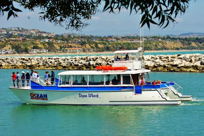 Luxury Catamaran Sunset and Wine Cruise from Dana Point - The first wine pour and the harbor route