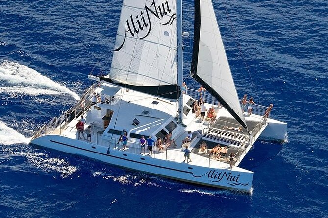 Luxury Catamaran Whale Watch - Hearing the whales through the hydrophone