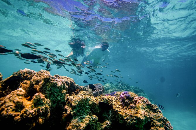 LUXURY PRIVATE Catamaran Bora Bora : Half-Day Trip - Drinks, snacks, and practical comfort