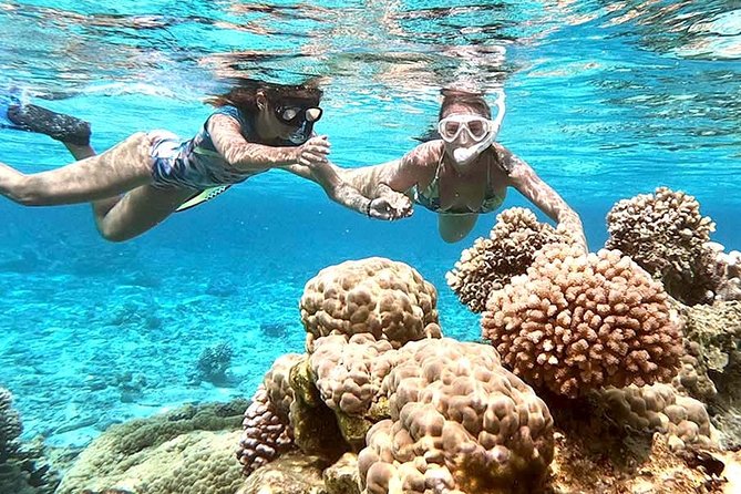 LUXURY PRIVATE Catamaran : Full-Day Sail & Polynesian Motu Lunch - What the private crew adds
